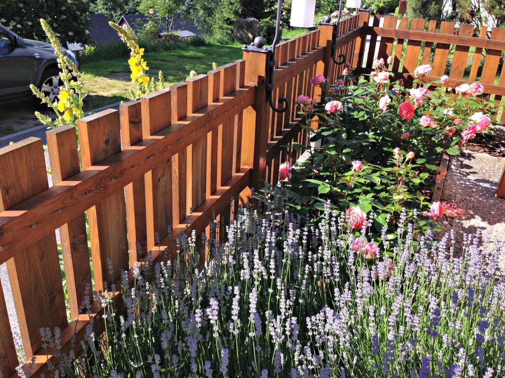 B&B Na Kopecku Rokytnice nad Jizerou Εξωτερικό φωτογραφία